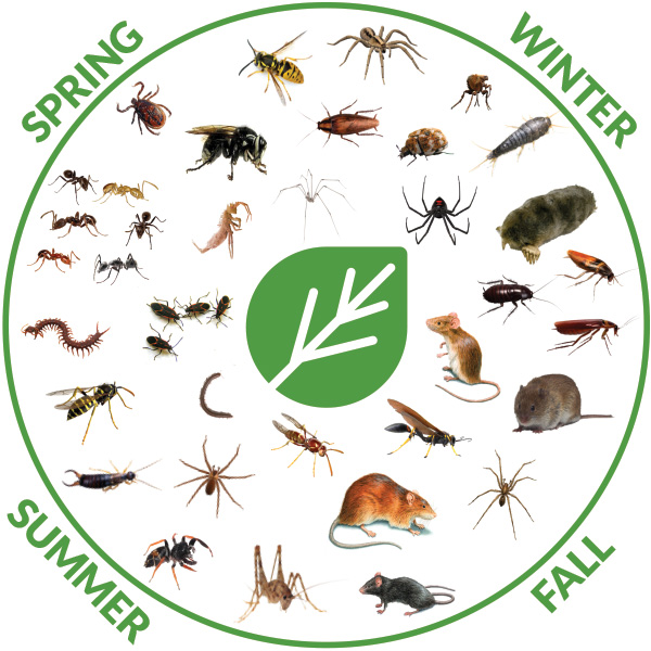 Pest seasons chart